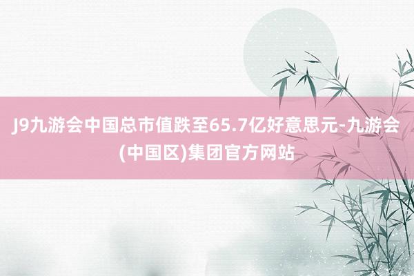 J9九游会中国总市值跌至65.7亿好意思元-九游会(中国区)集团官方网站