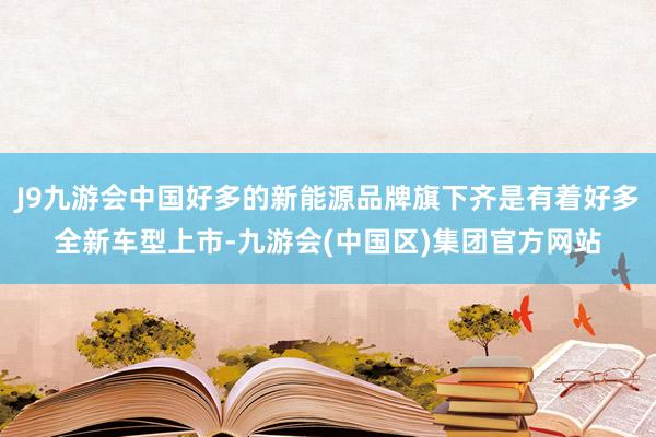 J9九游会中国好多的新能源品牌旗下齐是有着好多全新车型上市-