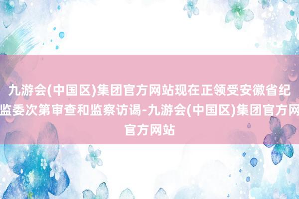 九游会(中国区)集团官方网站现在正领受安徽省纪委监委次第审查和监察访谒-九游会(中国区)集团官方网站